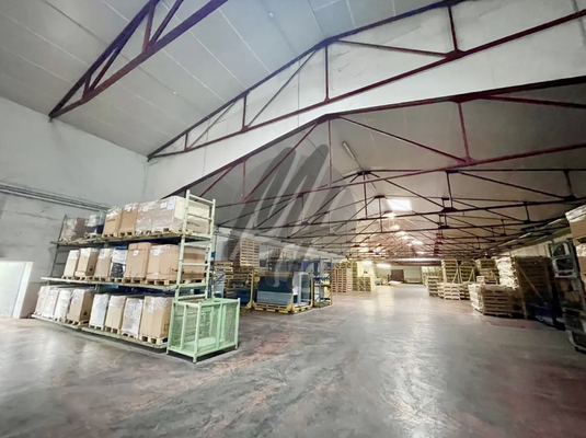 INFOS UNTER: 06171-586000