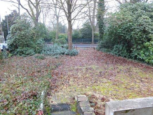 Vorderer Garten mit Einfahrt