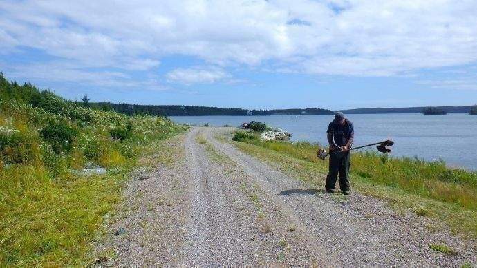 Mäharbeiten entlang der Wasserfront
