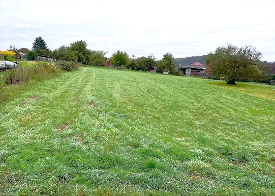 543dcf60-3be1-4fa0-aa4b-05e2a4a7dfc9