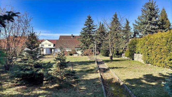 Blick aus dem Garten