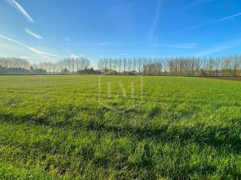 Willich Bauernhöfe, Landwirtschaft, Willich Forstwirtschaft