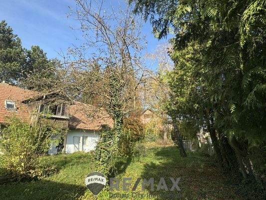 06 Baugrund in Katzelsdorf