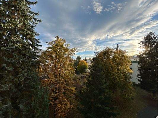 Ausblick vom Balkon 1