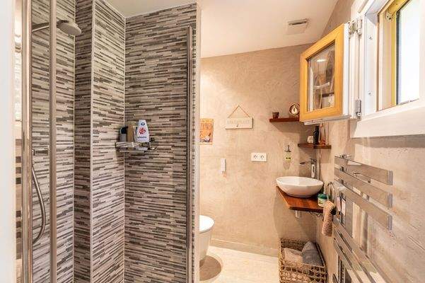 Gäste-Duschbad im Erdgeschoss