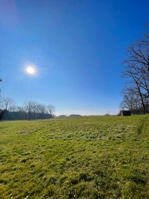 Feld hinter dem Grundstück