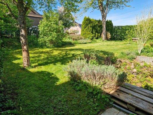 mit Bäumen und Sträuchern