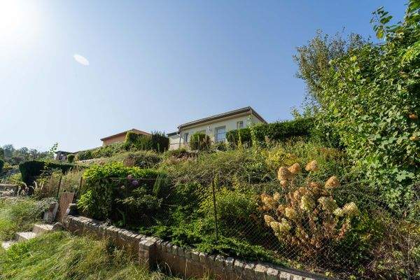 Außenansicht + Garten