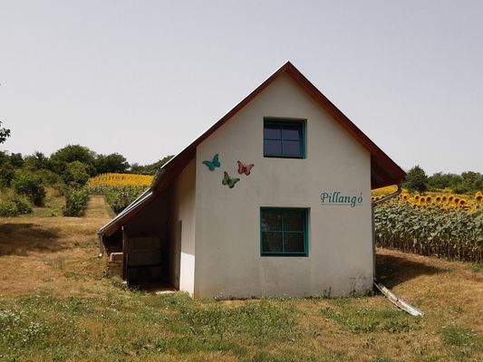 WhatsApp Image 2025-10-22 at 14.12.44.jpeg