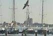 Hafen Altefähr-Blick auf Stralsund