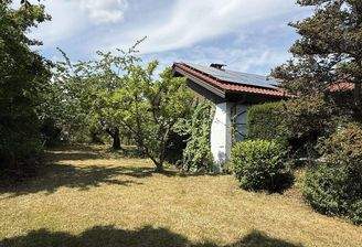 Garten mit Obstbäumen