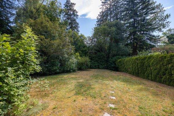 Der Garten mit Süd-West-Ausrichtung