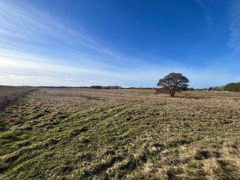 Demen Bauernhöfe, Landwirtschaft, Demen Forstwirtschaft