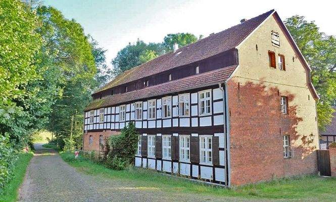 Sin título-1 V-3.jpg