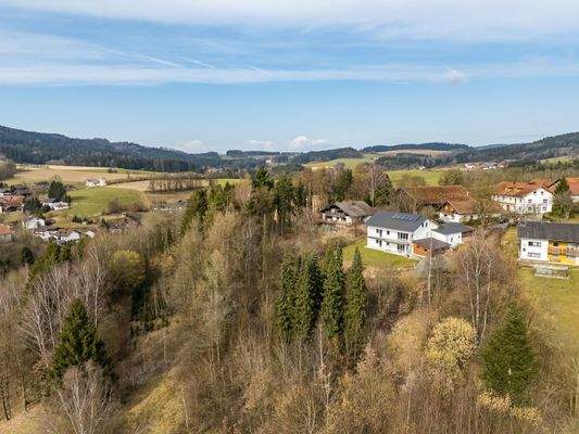 Haus mit dazugehörigem Waldanteil