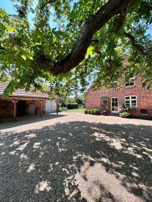 2023-06-12 13.46.49.jpg