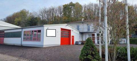 Freisen Halle, Freisen Hallenfläche