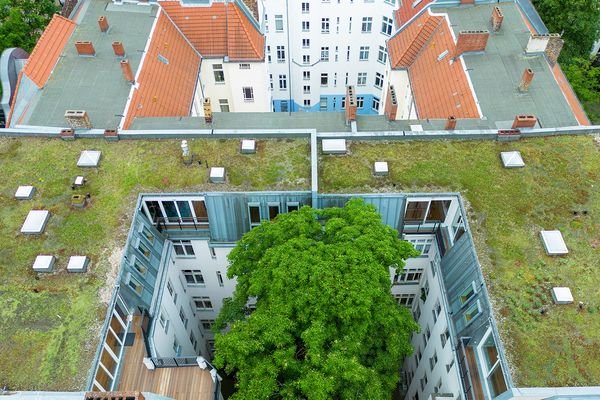 Drohnenaufnahme von Osten