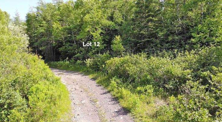 Cape Breton - Shaw Lake - 11,2 Hektar-Areal in her