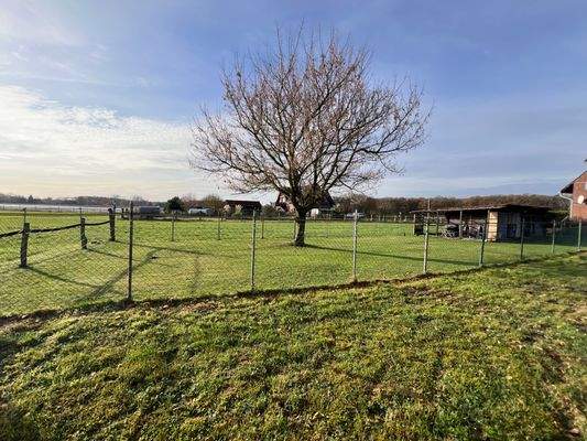 Gartenanteil I (ZFH)