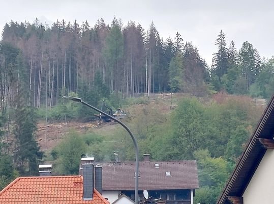 Blick von Süd nach Nord.jpg