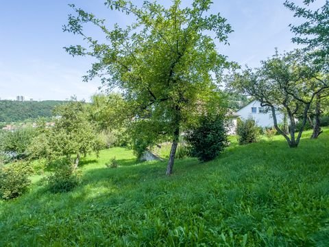 Tübingen Grundstücke, Tübingen Grundstück kaufen