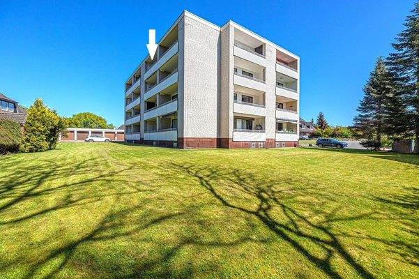 Pflegeleichter Rasen