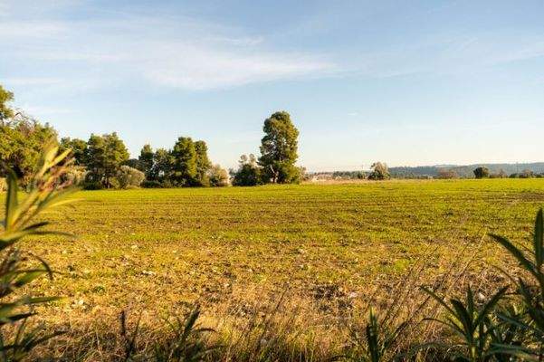 MAISONETTE HALKIDIKI KASSANDRA