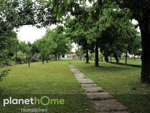 Hornstein Häuser, Hornstein Haus kaufen