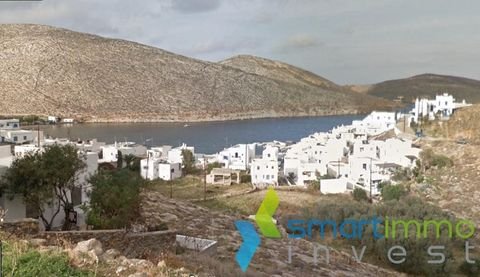 Ormos Panormou, Tinos Bauernhöfe, Landwirtschaft, Ormos Panormou, Tinos Forstwirtschaft