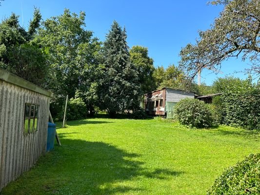 Blick in den Garten