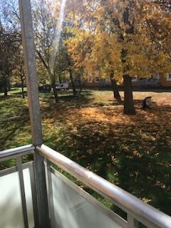 Wohnen in Fermersleben, 3 Zimmer-Wohnung in Fermersleben mit Blick auf den ruhigen Innenhof!