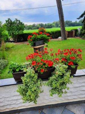 Blick von der Terrasse