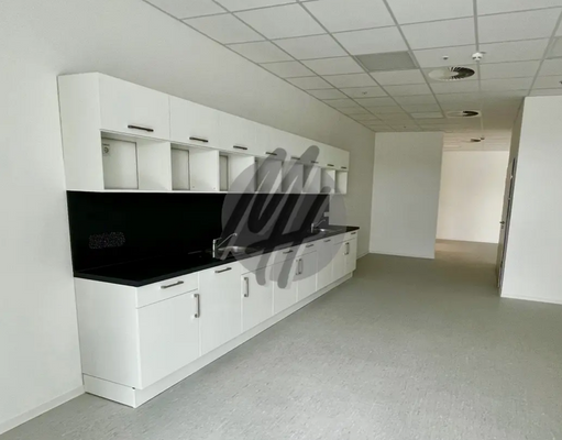 INFOS UNTER: 06171-586000