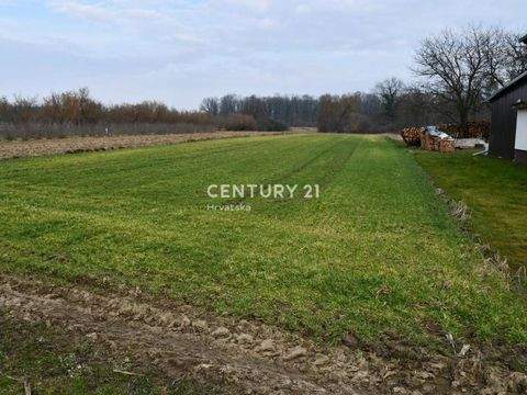 Velika Gorica Bauernhöfe, Landwirtschaft, Velika Gorica Forstwirtschaft