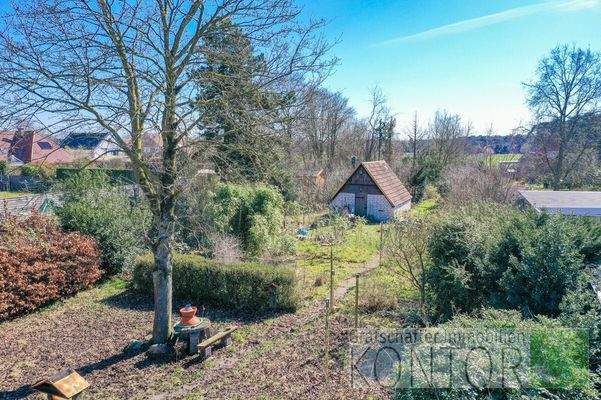 Blick in den hinteren Gartenbereich