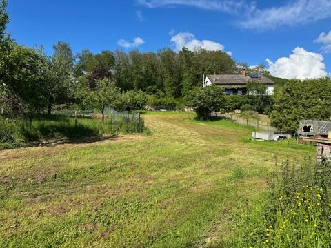 Rockenhausen Häuser, Rockenhausen Haus kaufen