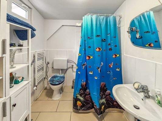 Anbau - Gäste-Badezimmer