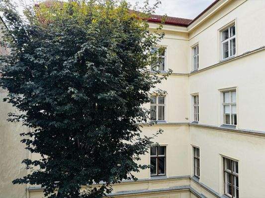 20251013_091041638_iOS