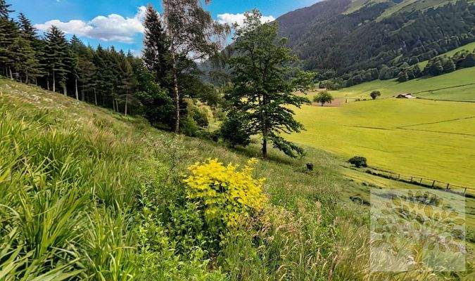 Blick Richtung Osten