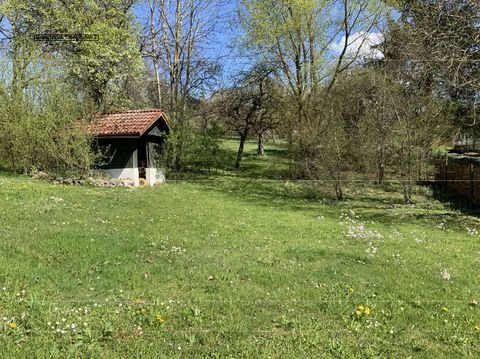 Waldshut-Tiengen / Oberalpfen Grundstücke, Waldshut-Tiengen / Oberalpfen Grundstück kaufen