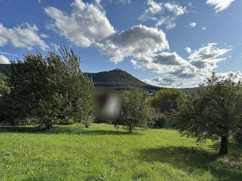Beuren Grundstücke, Beuren Grundstück kaufen