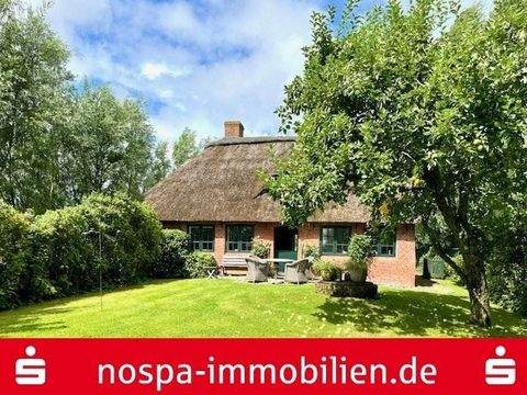 Vollerwiek Häuser, Vollerwiek Haus kaufen