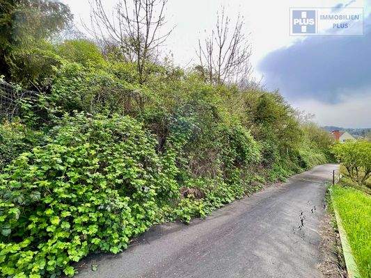 private Zufahrt zum Anwesen