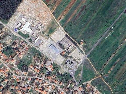 Biograd na Moru Bauernhöfe, Landwirtschaft, Biograd na Moru Forstwirtschaft