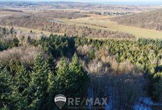 1 Teilansicht Wald und Umgebung