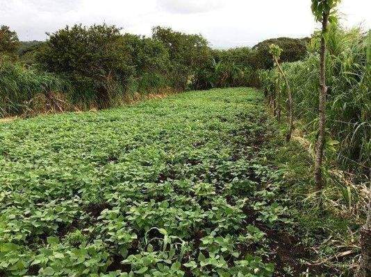 ImmoScout360 GARTEN Arenal See