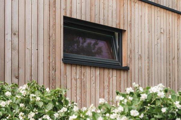 Detail: Fenster anzrazit und sibirische Lärche