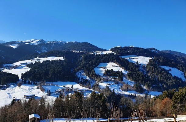 Bild 19