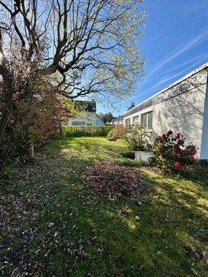 Einblicke in den Garten